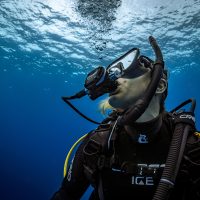 diver underwater looking towards the surface