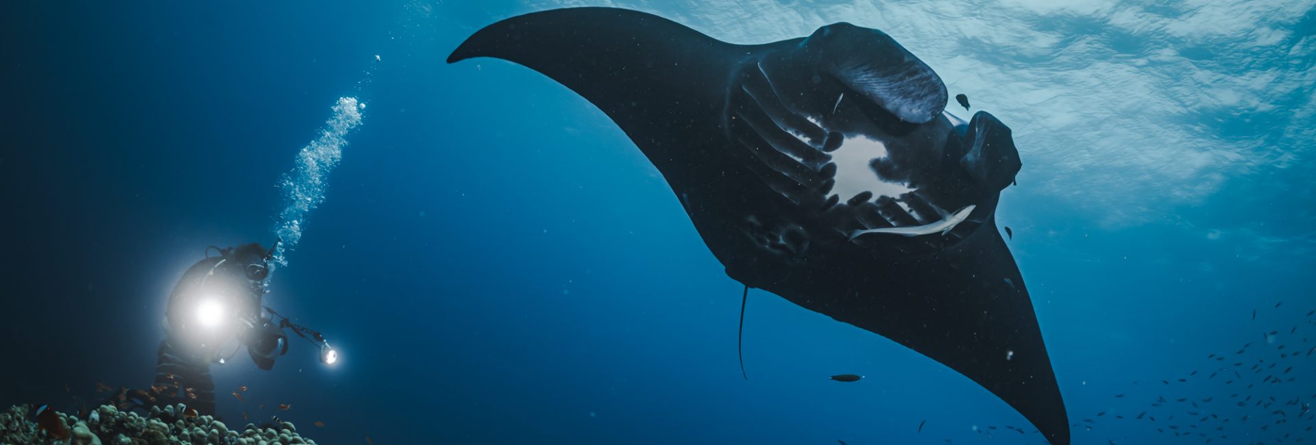 Mapping Manta Point: Bali’s Legendary Dive Site