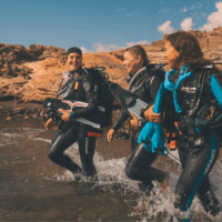 divers walking into water together
