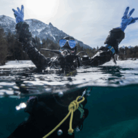 An over under shot of a diver in a dry suit raising their hands out of the water and looking joyful. The shoreline in the background is covered in snow