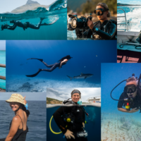 padi ambassadivers 2026 collage