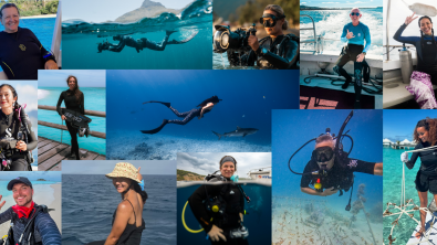 padi ambassadivers 2026 collage