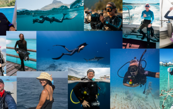 padi ambassadivers 2026 collage