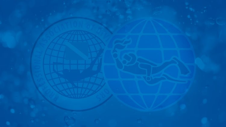 Faded padi logo on a blue background