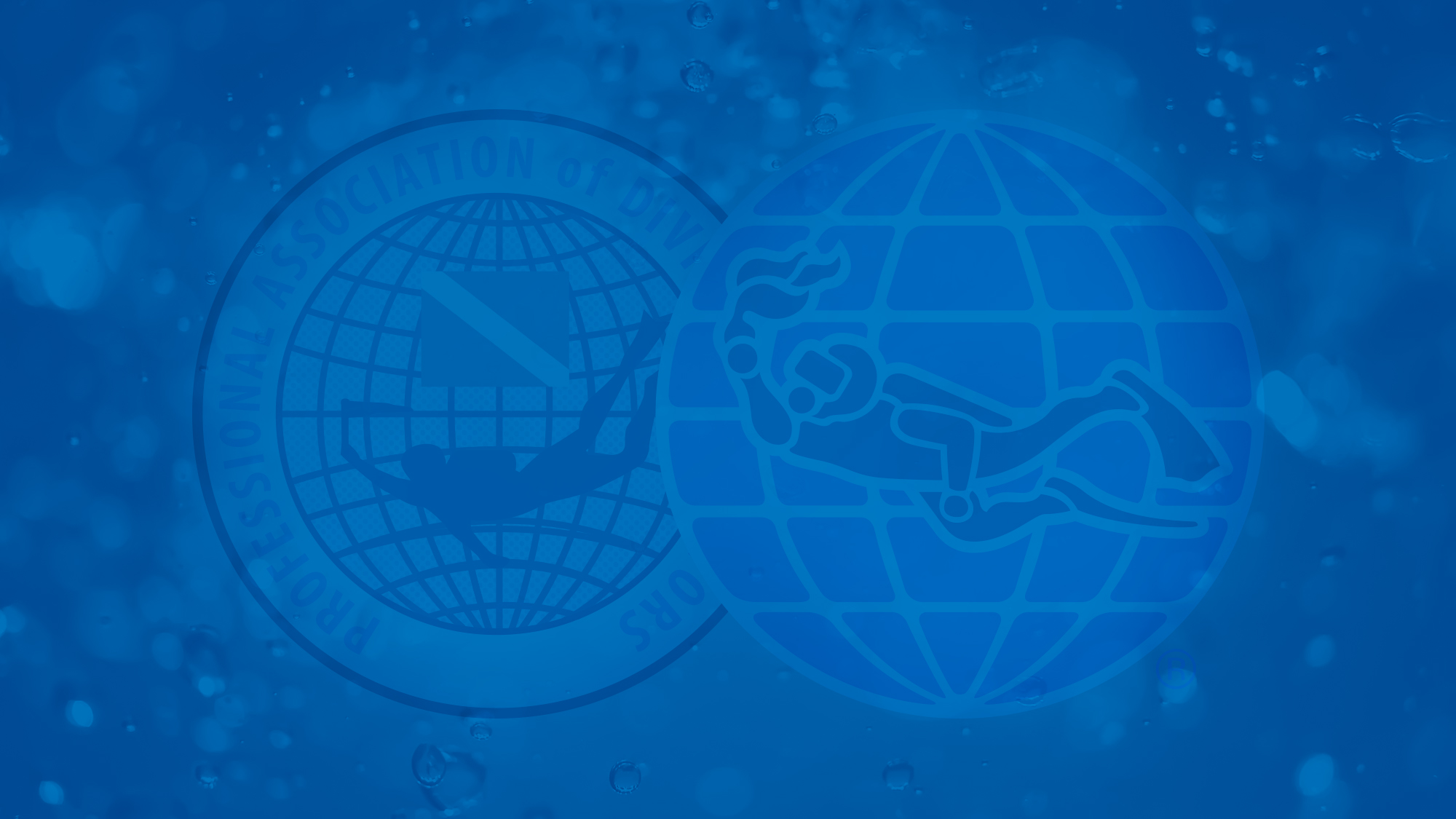 Faded padi logo on a blue background