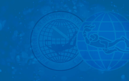 Faded padi logo on a blue background