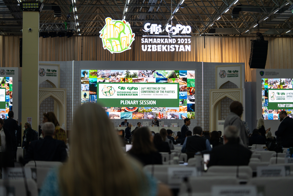Foto van een COP20-conferentiepresentatie van CITES vanaf de achterkant van de zaal met mensen die voor een scherm zitten.