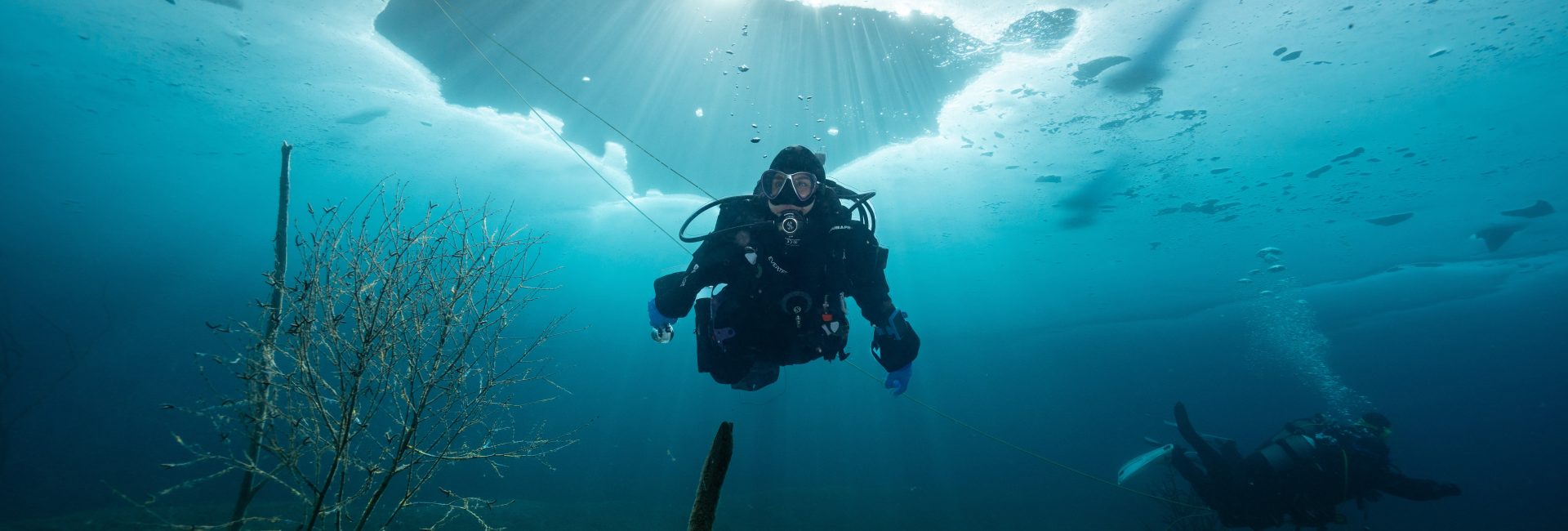 Cold vs. Warm Water Diving: What You Need To Know