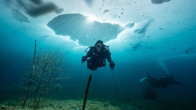 A woman dives under the ice in cold water scuba gear in Austria