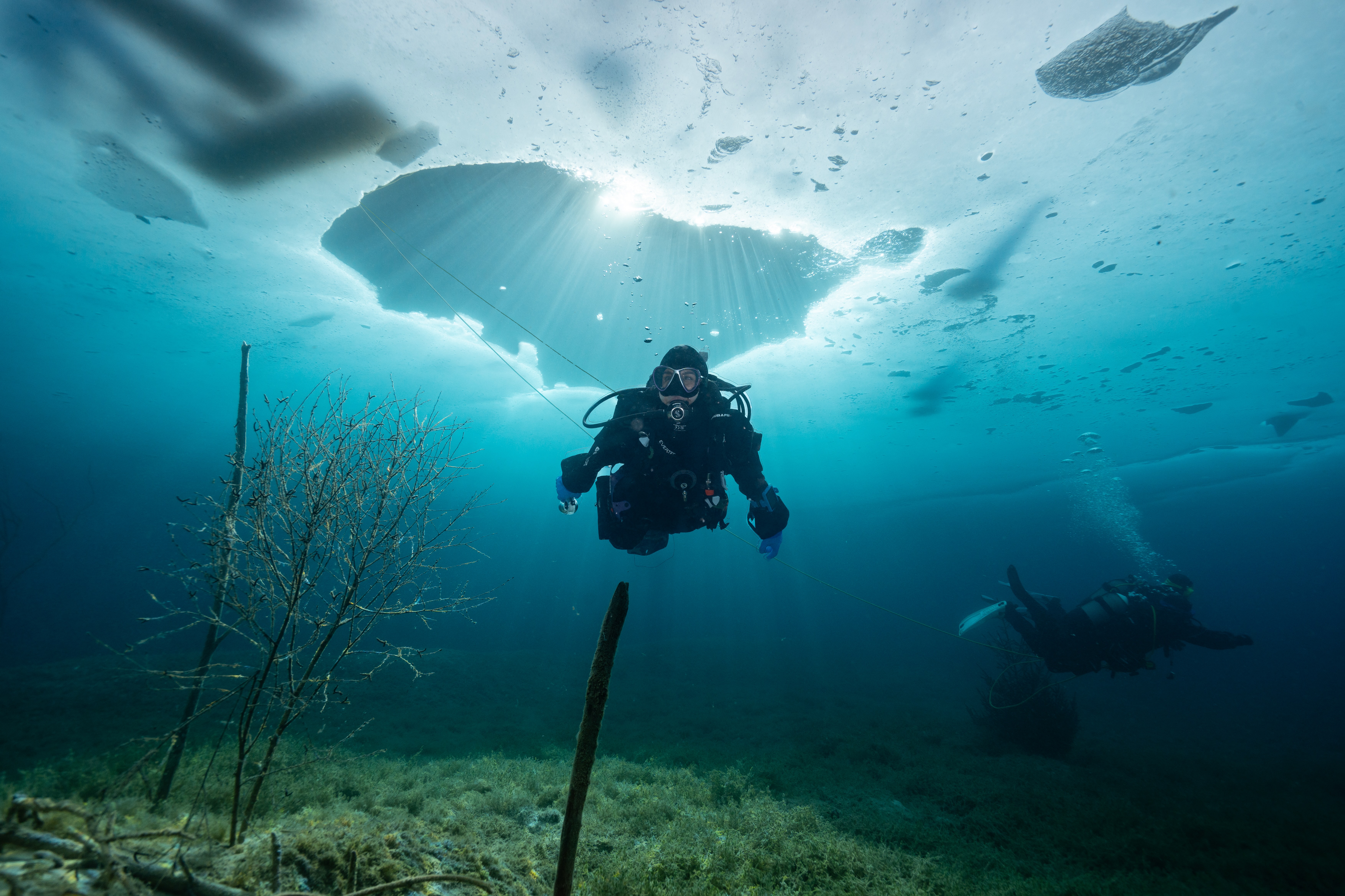 A woman dives under the ice in cold water scuba gear in Austria