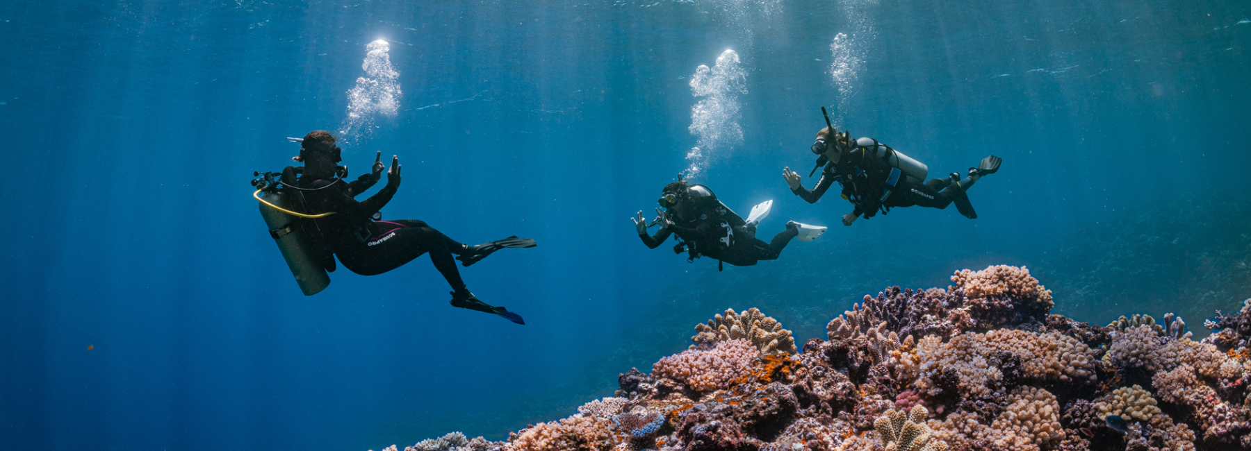 El futuro del buceo PADI y la gestión de los océanos