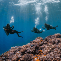 The future of PADI diving and ocean stewardship