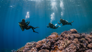 The future of PADI diving and ocean stewardship