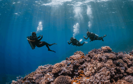 The future of PADI diving and ocean stewardship
