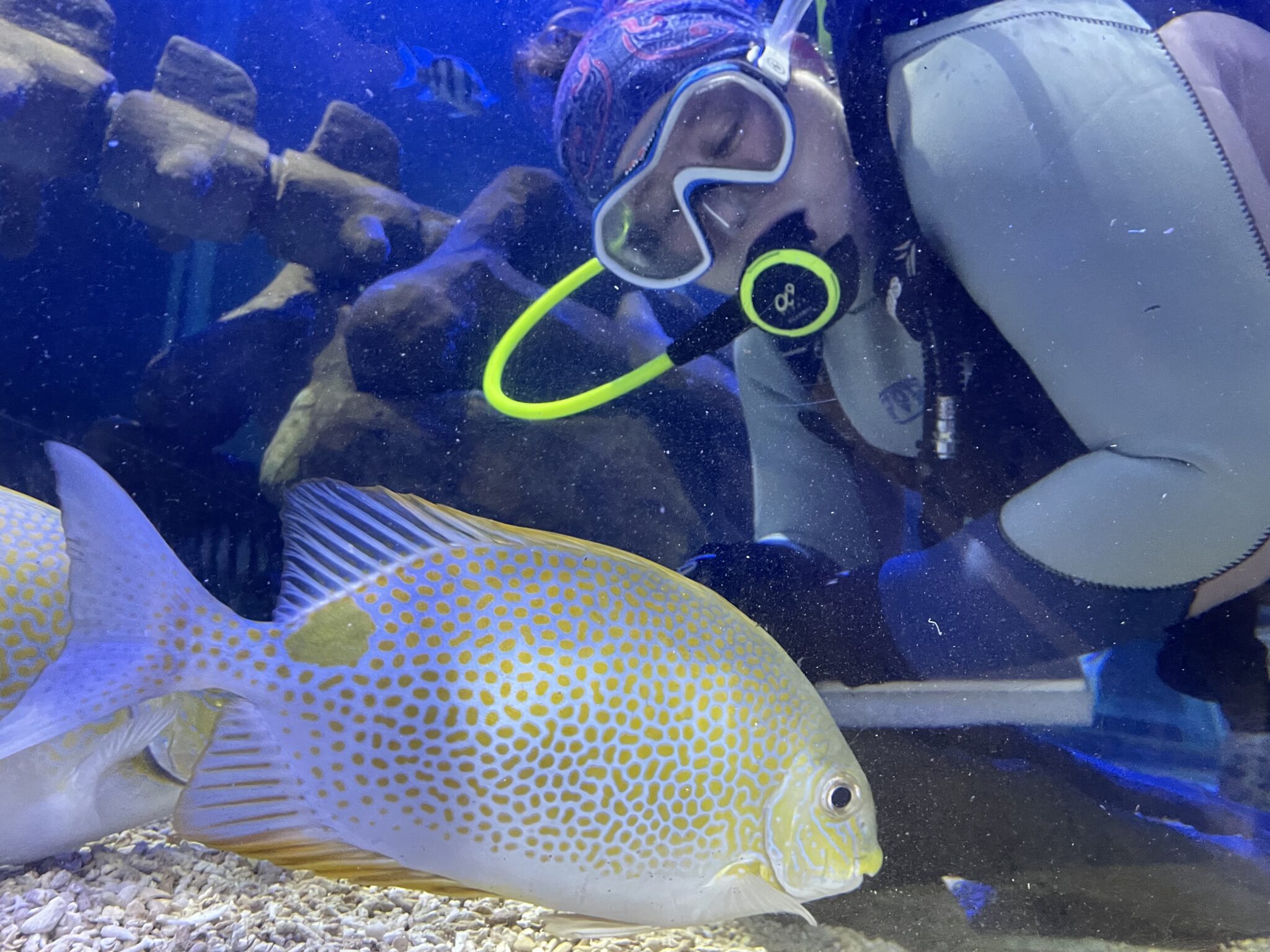 Sophie Negus taking a diving selfie with a fish in an aquarium