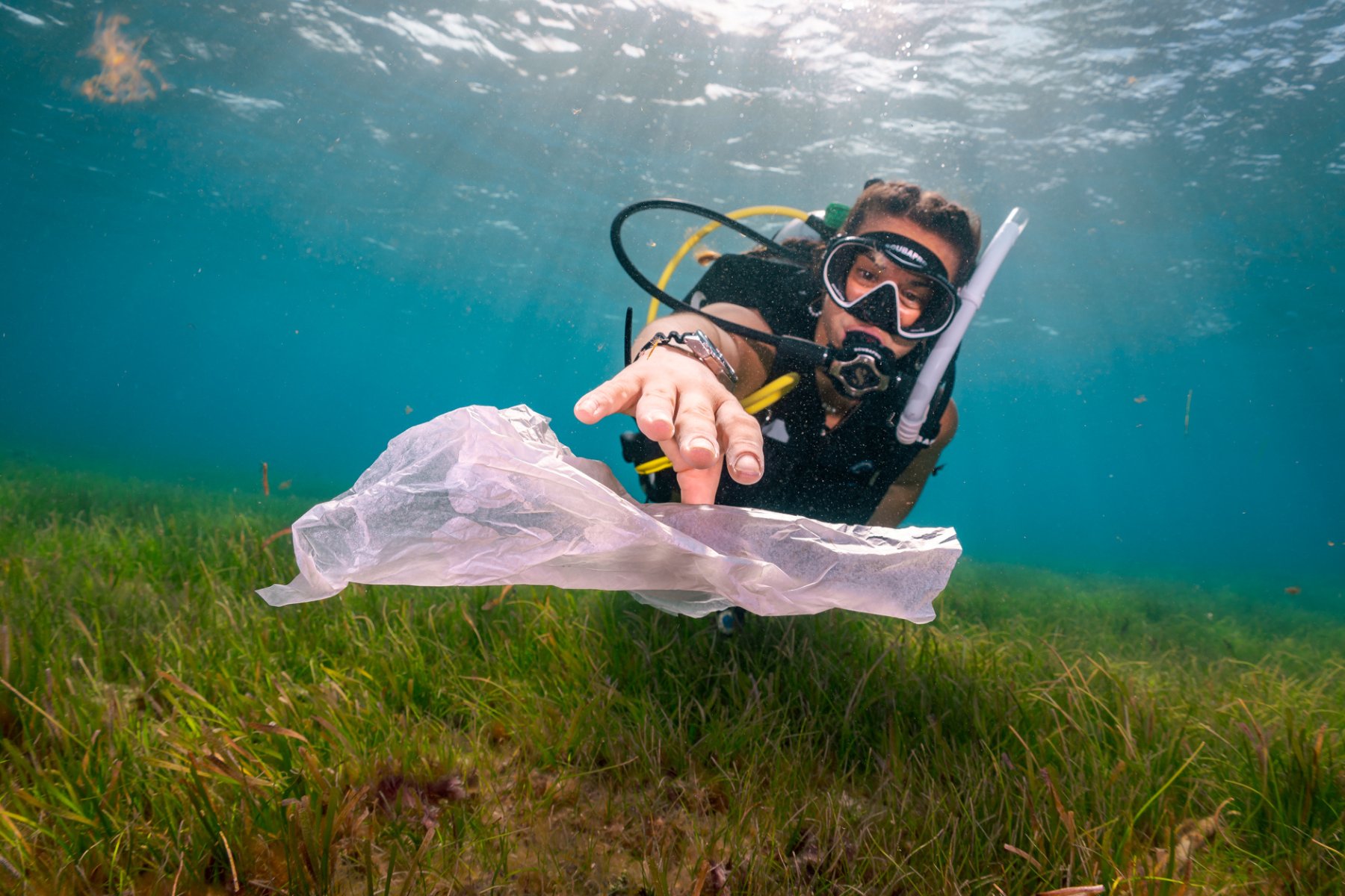 Ocean Stewardship PADI Future