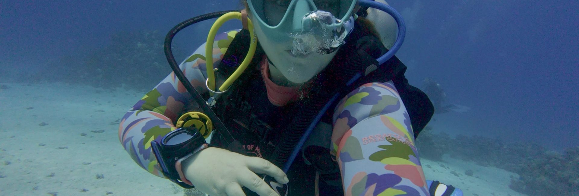 How Becoming a Divemaster Helped Me Build a Career Working With Marine Life