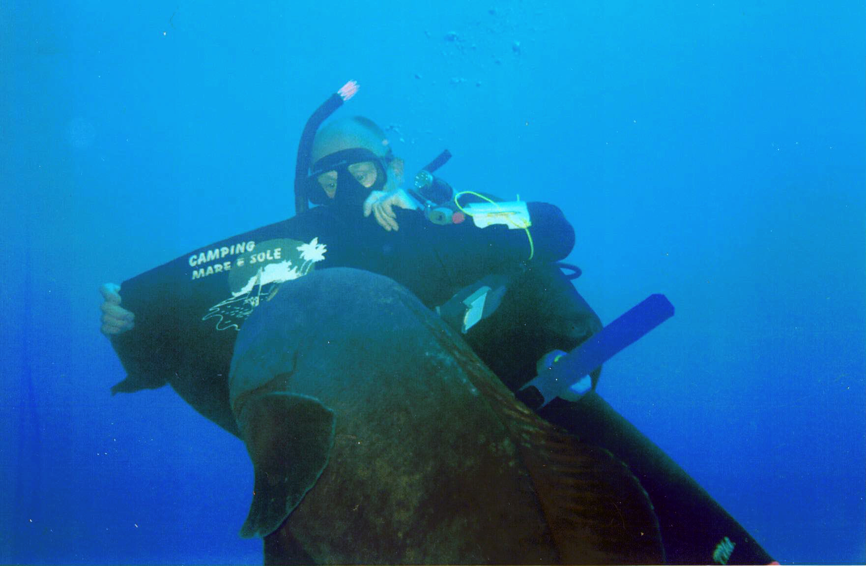 A diver holding a black tshirt underwater as a grouper dives up to him