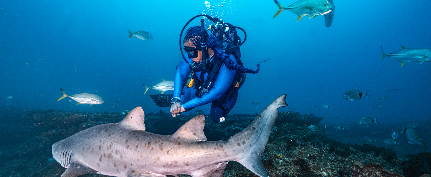 De los buceos locales al impacto mundial: cómo tus acciones en el océano ayudan a la política de conservación de los océanos