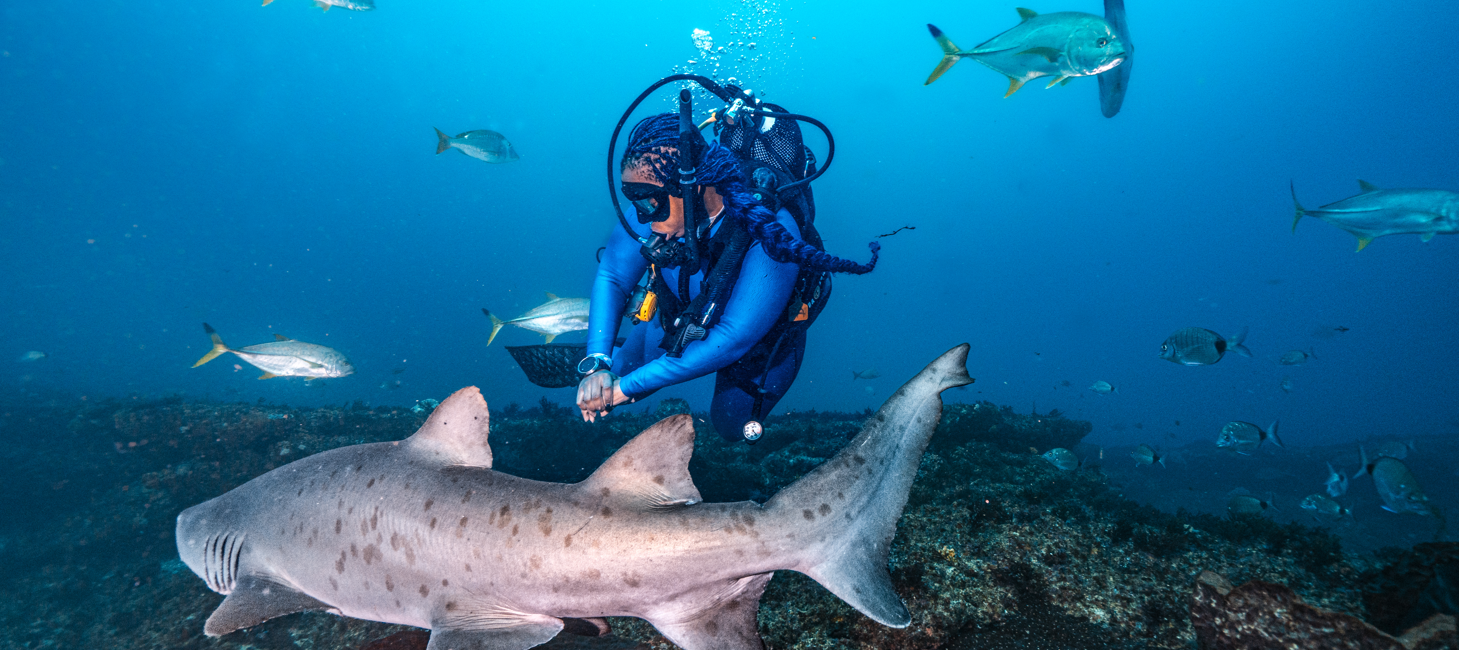 Des plongées locales à l&rsquo;impact mondial : comment vos actions en mer contribuent à la politique de préservation de l&rsquo;océan