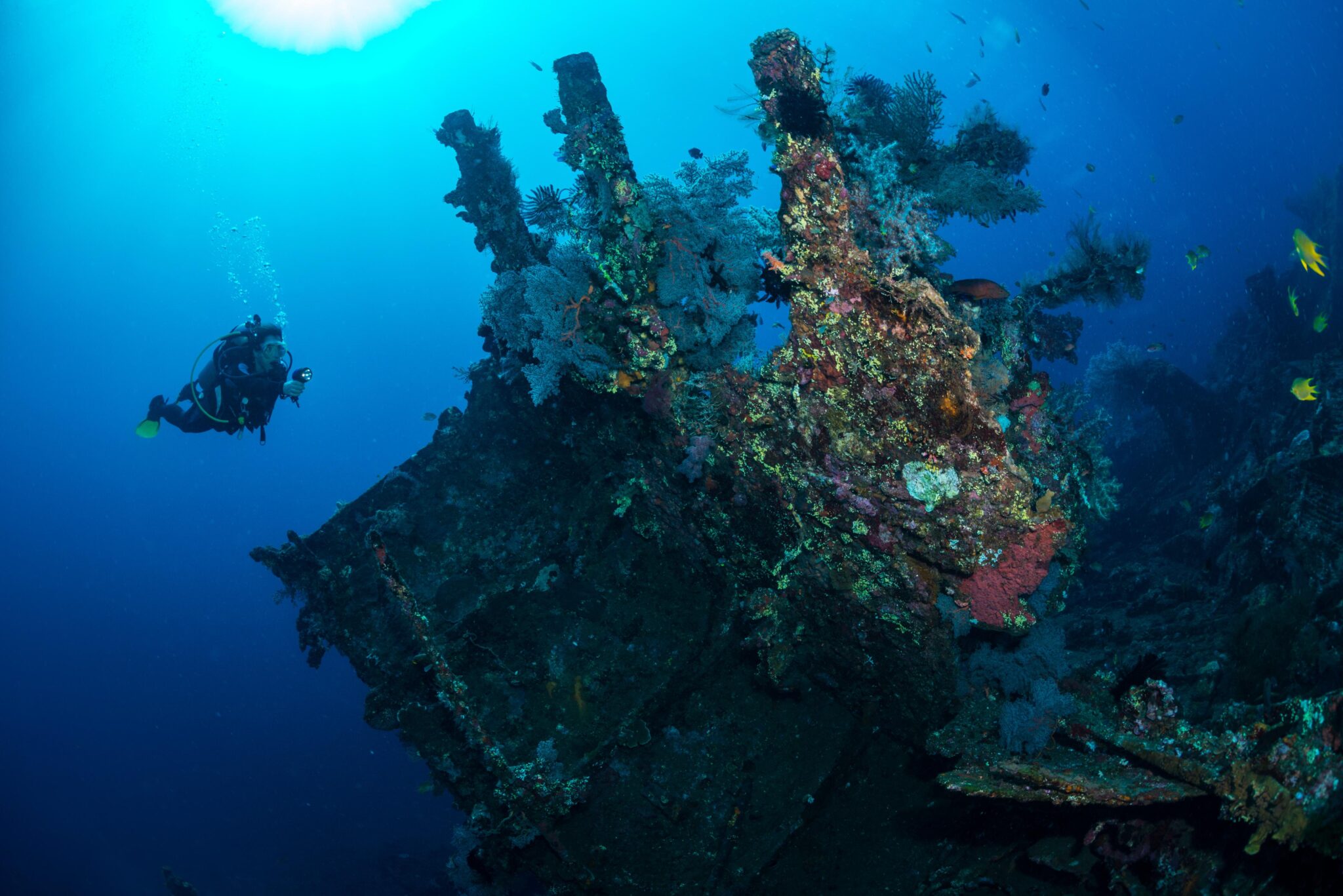 diver alongside the liberty wreck in bali
