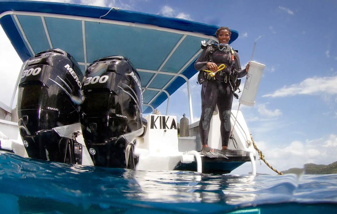 A diver holding a lionfish capture and containment device