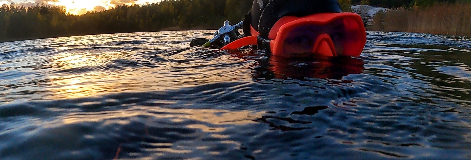 The Quiet Transformation That Happens When You Dive