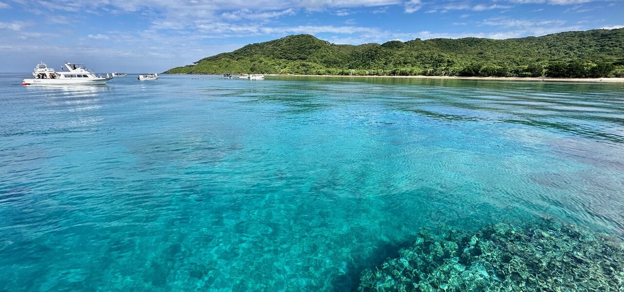 現地ダイビングガイドが語る、日本の海の魅力｜石垣島