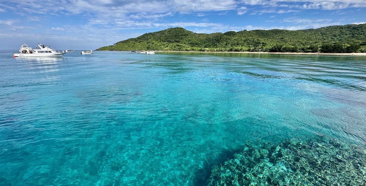 現地ダイビングガイドが語る、日本の海の魅力｜石垣島