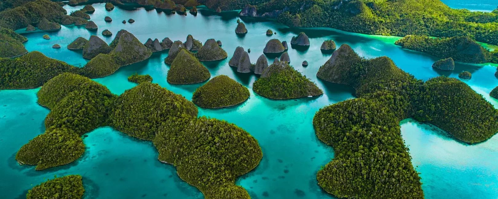 What You Need To Know About Liveaboard Diving in Raja Ampat