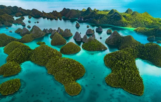 raja ampat from above