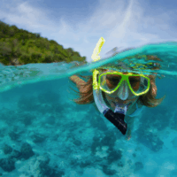snorkeler surface looking at camera