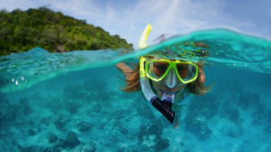 snorkeler surface looking at camera