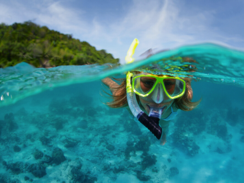 snorkeler surface looking at camera