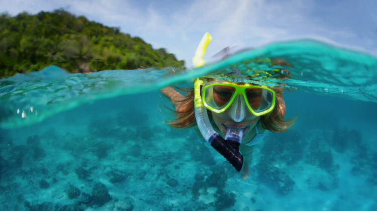 snorkeler surface looking at camera