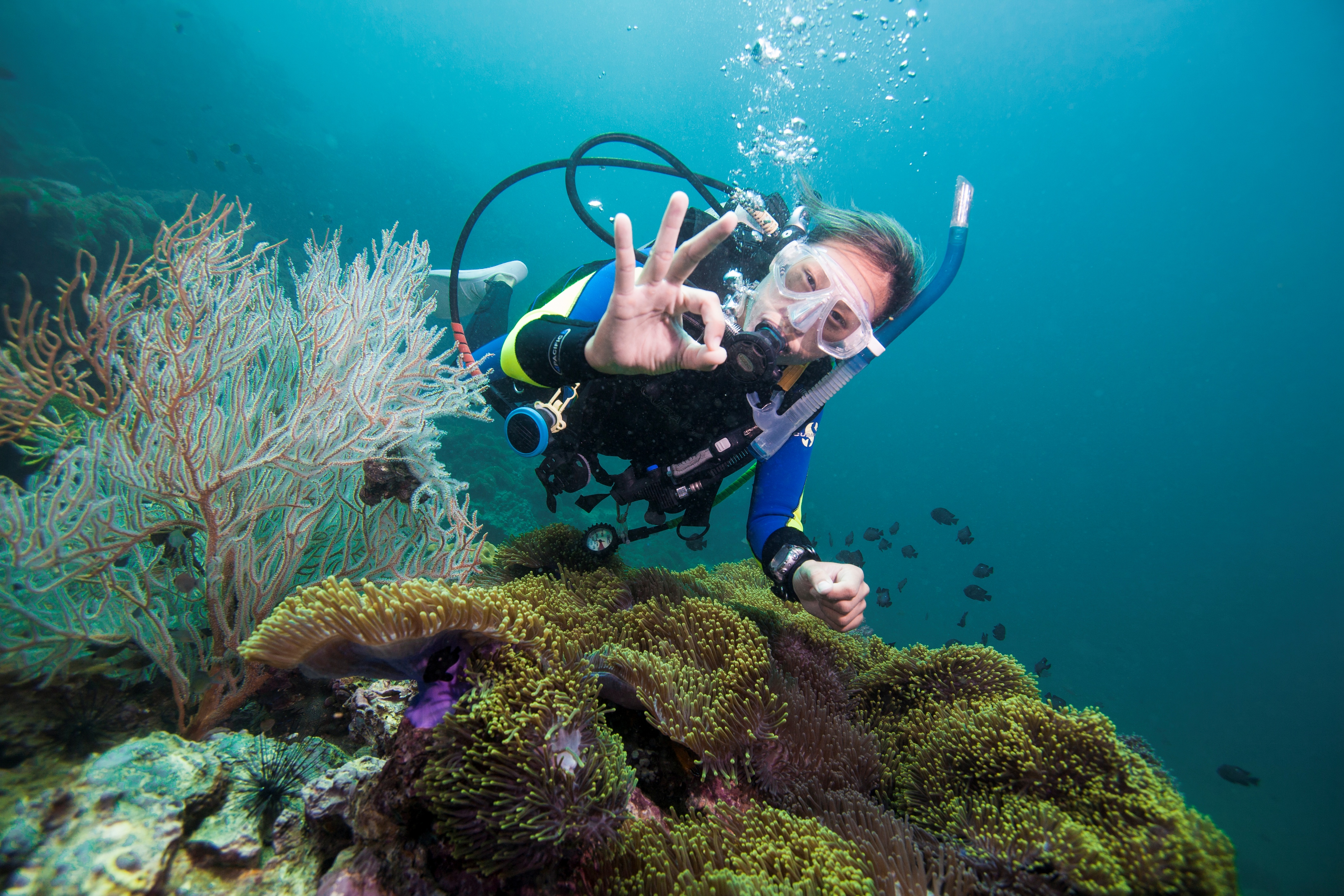 À Koh Tao, un plongeur fait le signal manuel OK à la caméra.