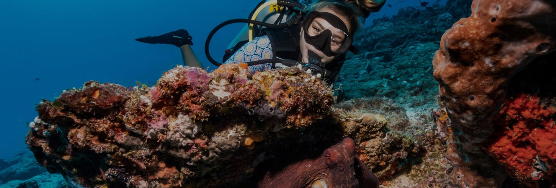 Qué hay en mi bolso de buceo: Lo esencial del equipo de un buceador activo