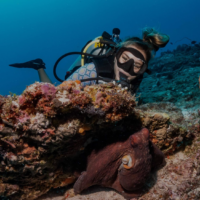 maelly fure padi ambassadiver diving with octopus