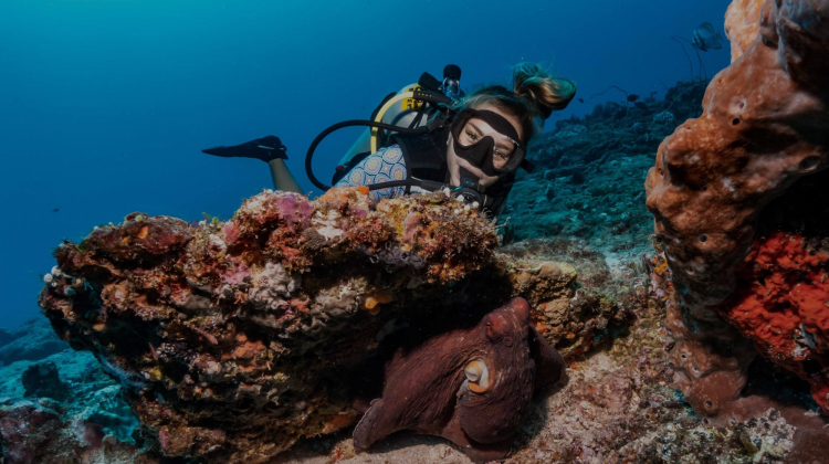 maelly fure padi ambassadiver diving with octopus