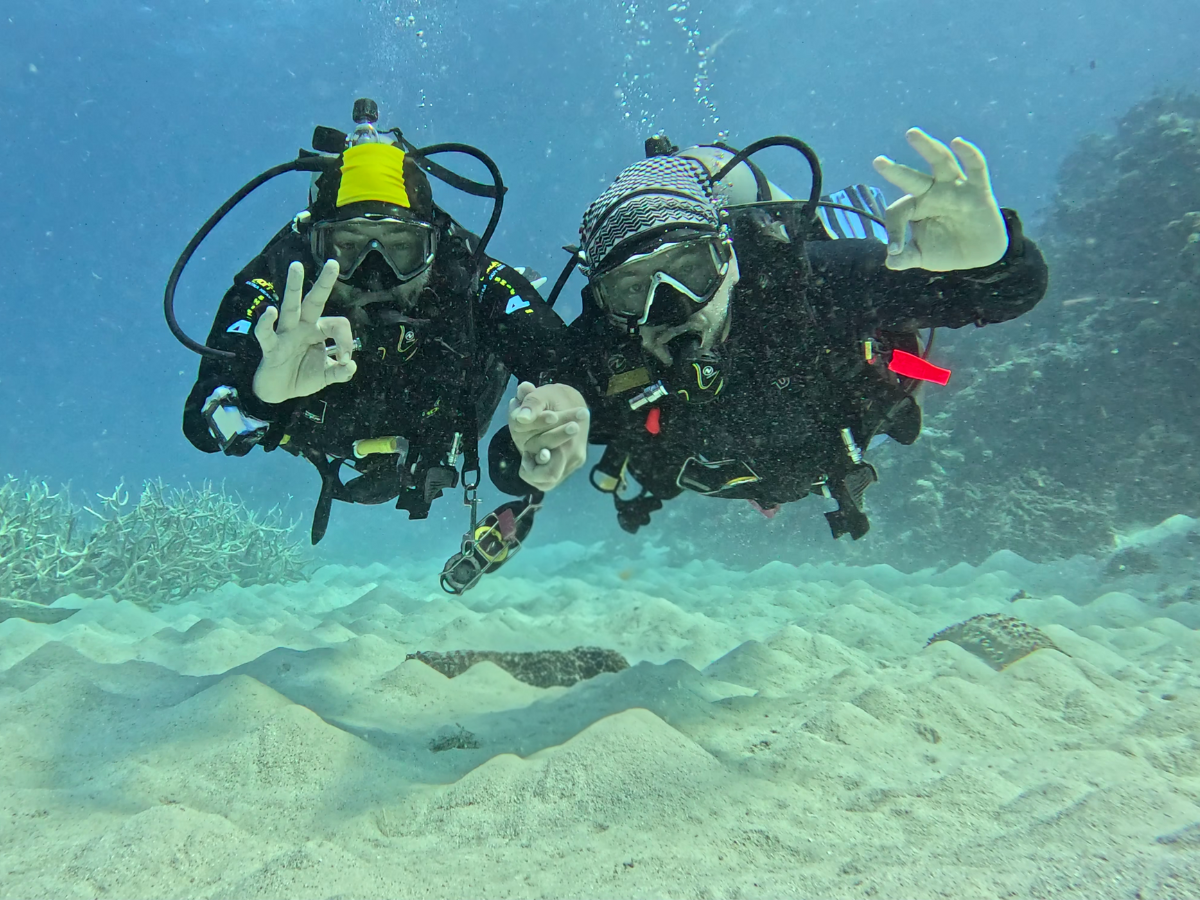 hassan khayal divers great barrier reef