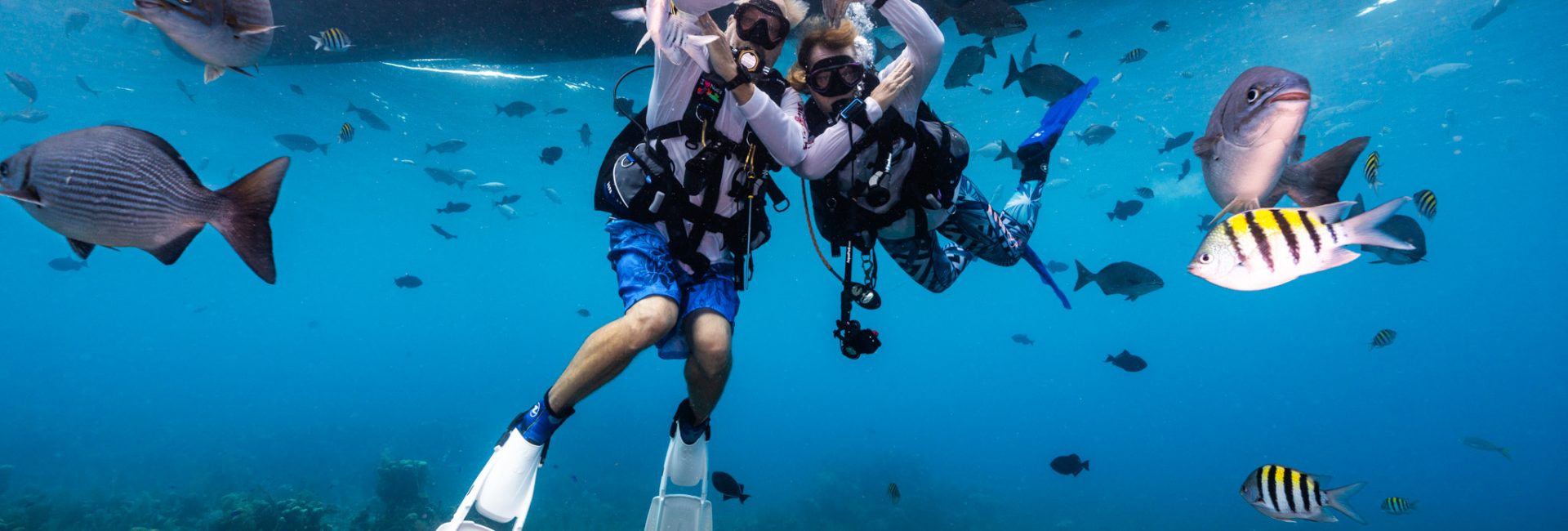 Underwater Raves: The Newest Trend in Scuba Diving