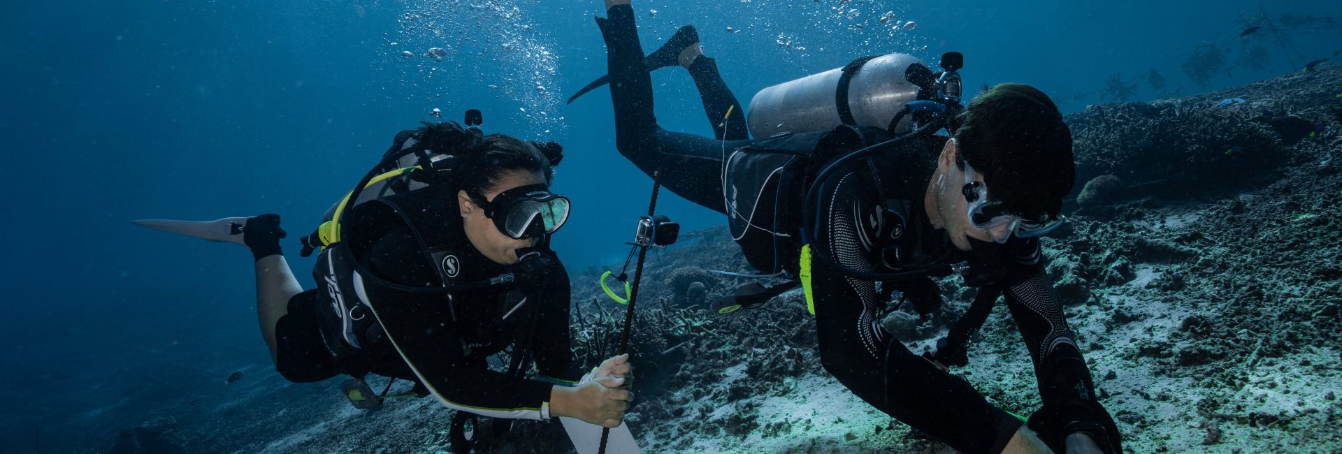 Andrew Taylor: Leading Coral Reef Restoration in Bali 
