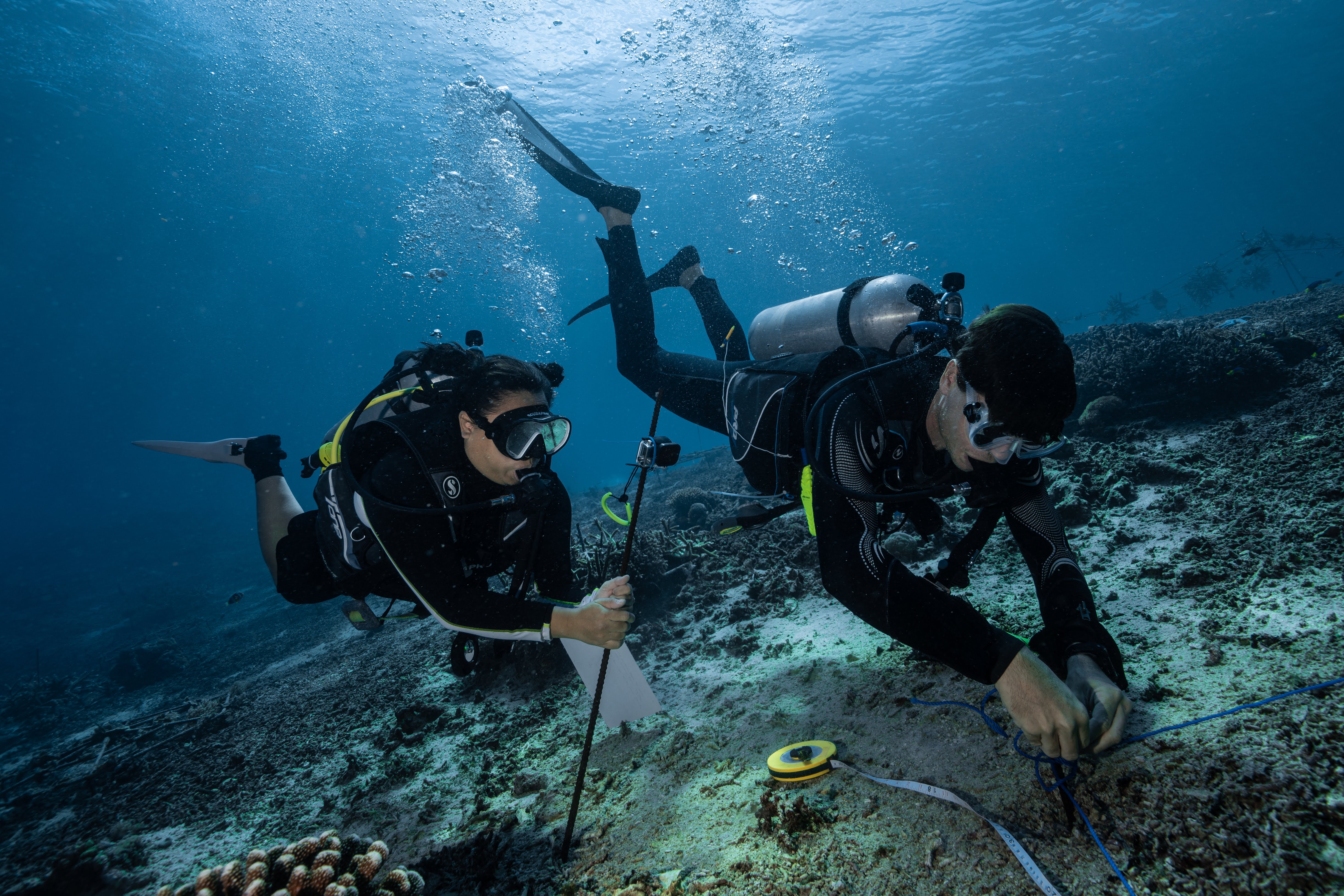 Andrew Taylor, Ocean Torchbearer