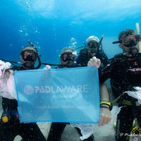 four divers carrying Dive Against Debris bags holding up a