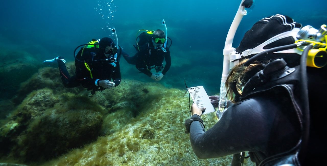 Conviértete en Instructor PADI con los centros PADI Five Star Instructor Development más reconocidos de PADI Americas