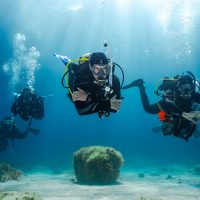 5 divers swim underwater in Malta