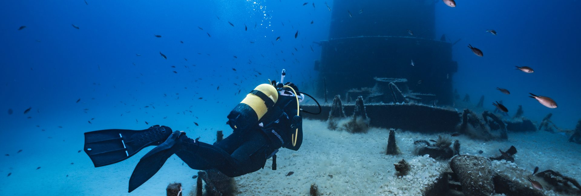 5 Specialty Courses Pros Wish All Divers Would Take