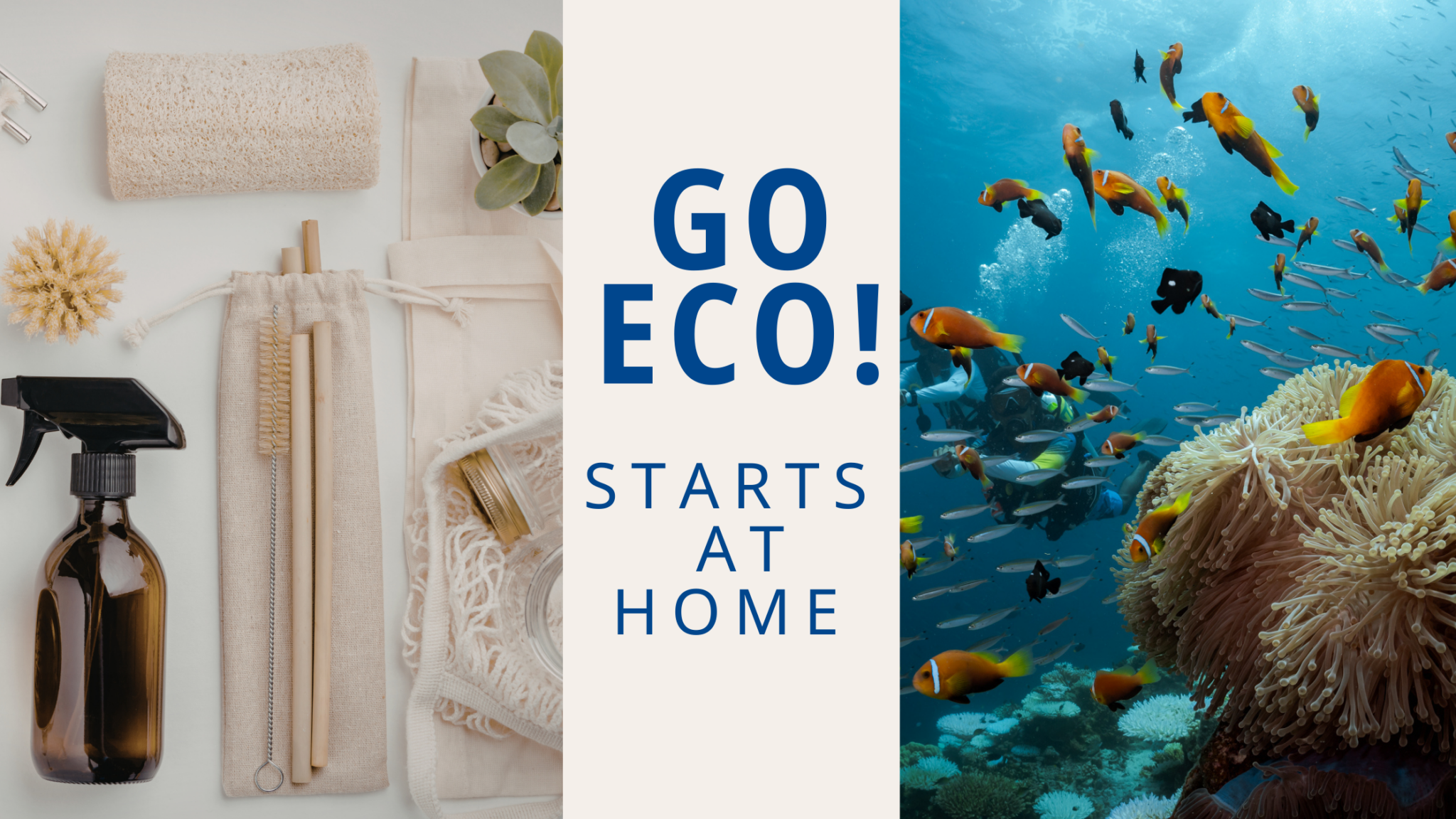 Go Eco-Banner