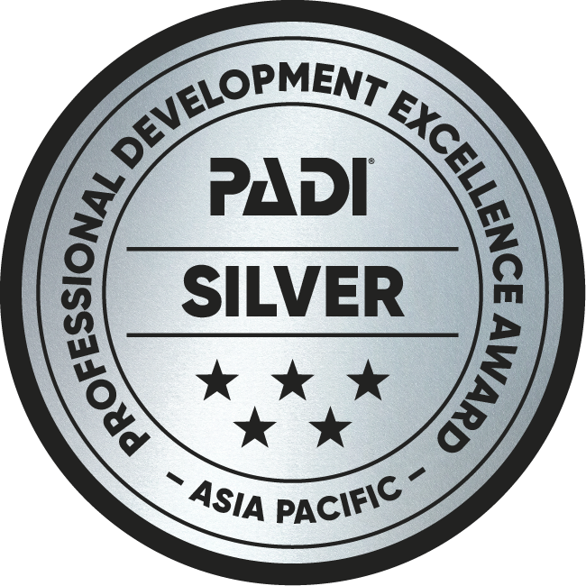 IDC 认证徽章 2025_银质徽章 ap