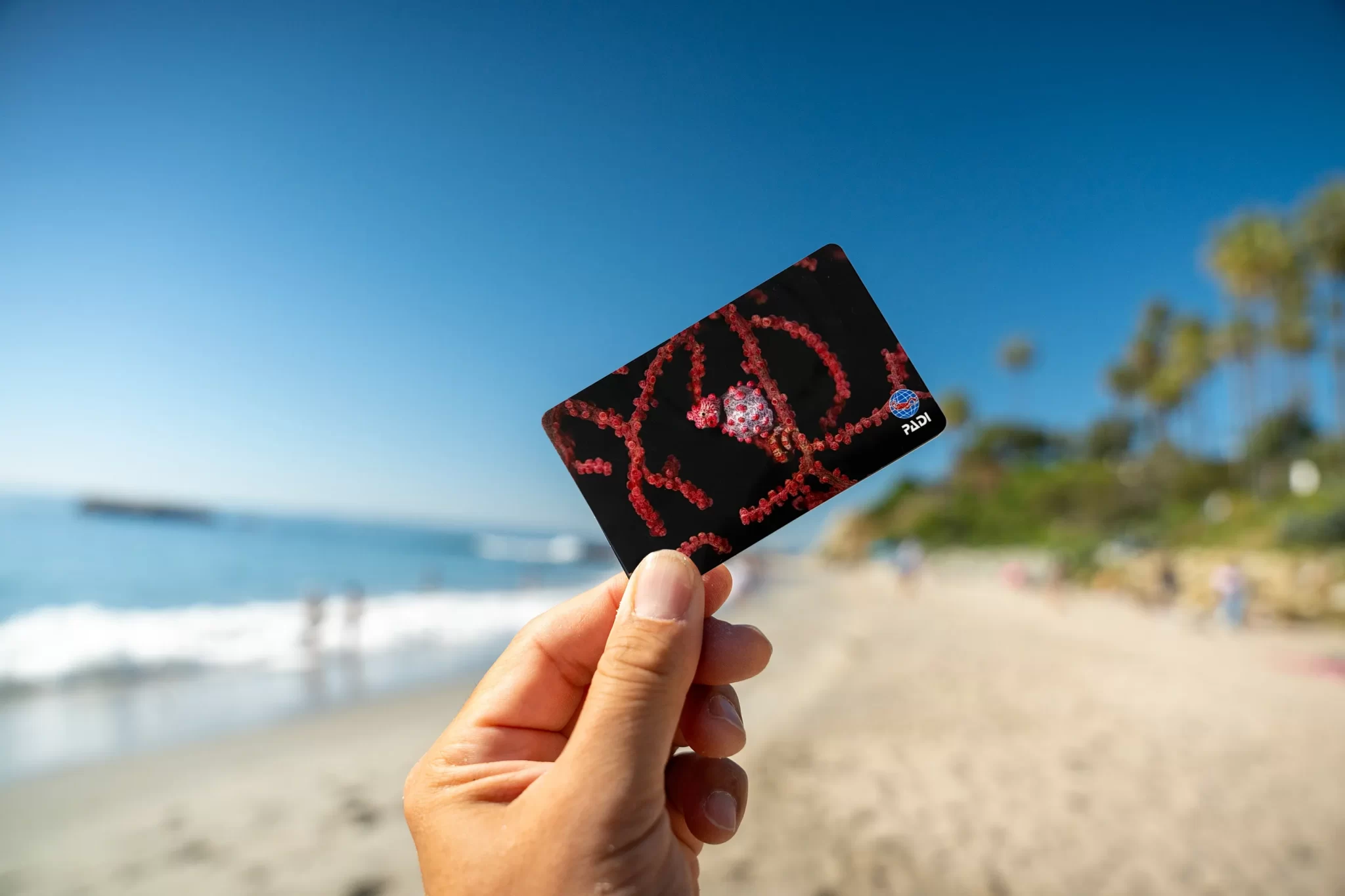 The PADI searhorse certification card